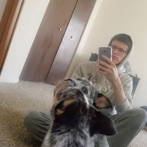 Meet your Posher, Dean